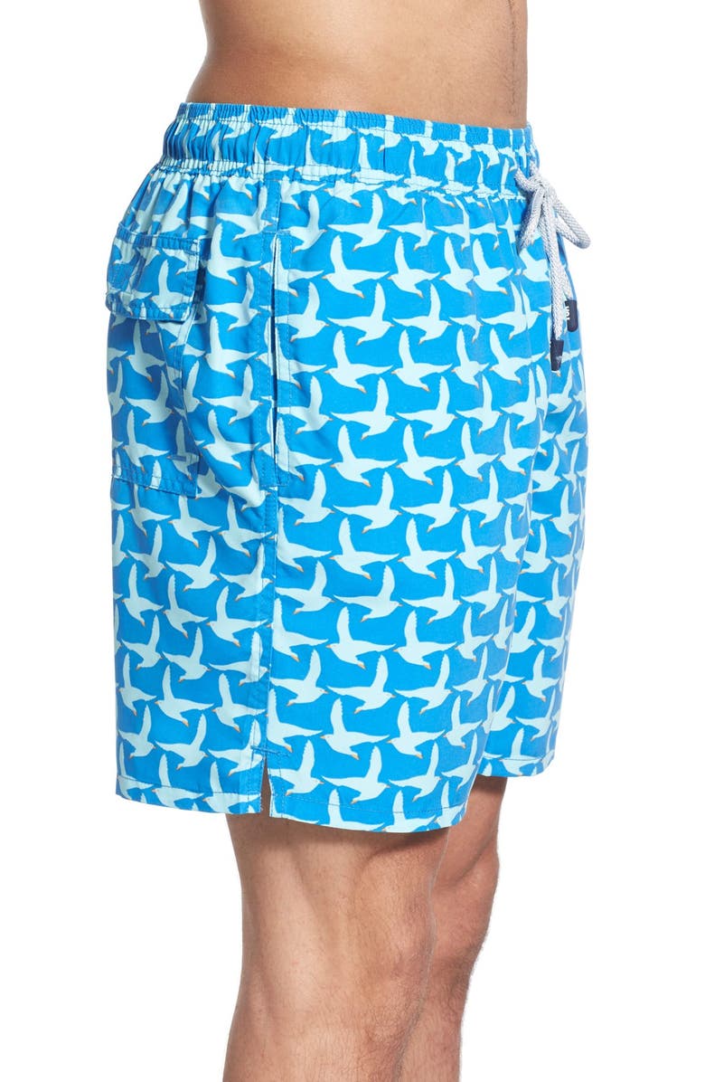 Tom & Teddy Seagull Print Swim Trunks, Alternate, color, 