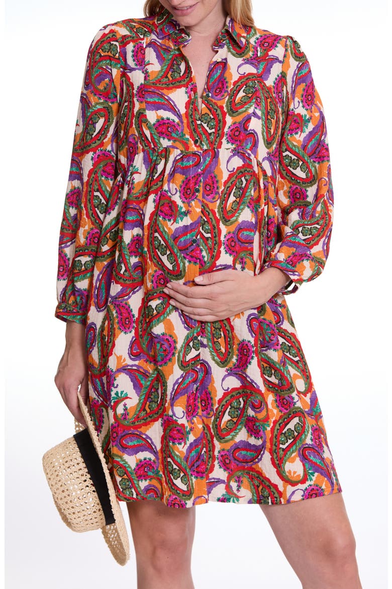 Soledad Maternity and Nursing Shirt Dress, Main, color, PAISLEY MUTLI