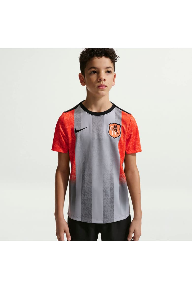 Youth Nike  Gray Chelsea 2025/26 Academy Pro Pre-Match Top, Alternate, color, Gray