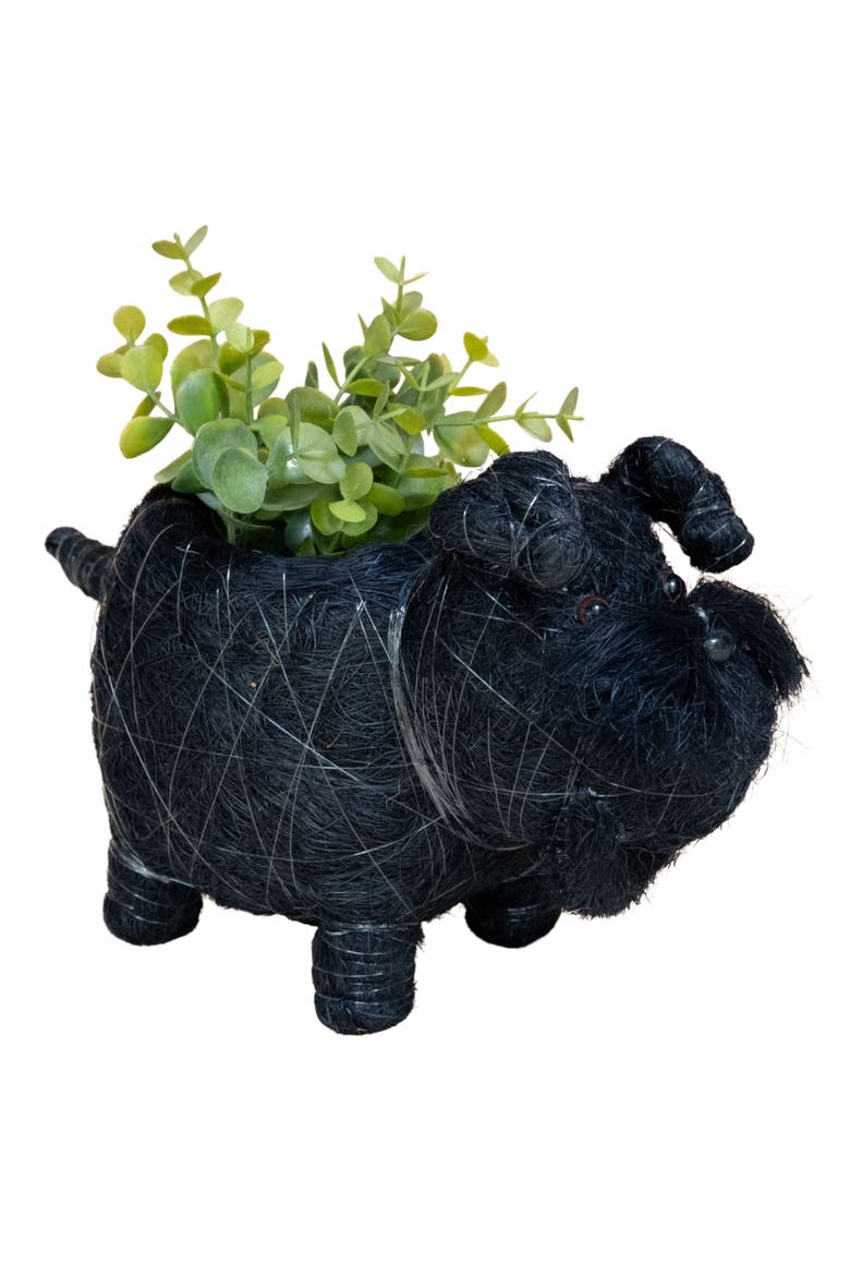 Baby Schnauzer Handwoven Planter, Main, color, BLACK