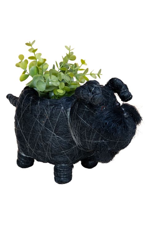 Baby Schnauzer Handwoven Planter