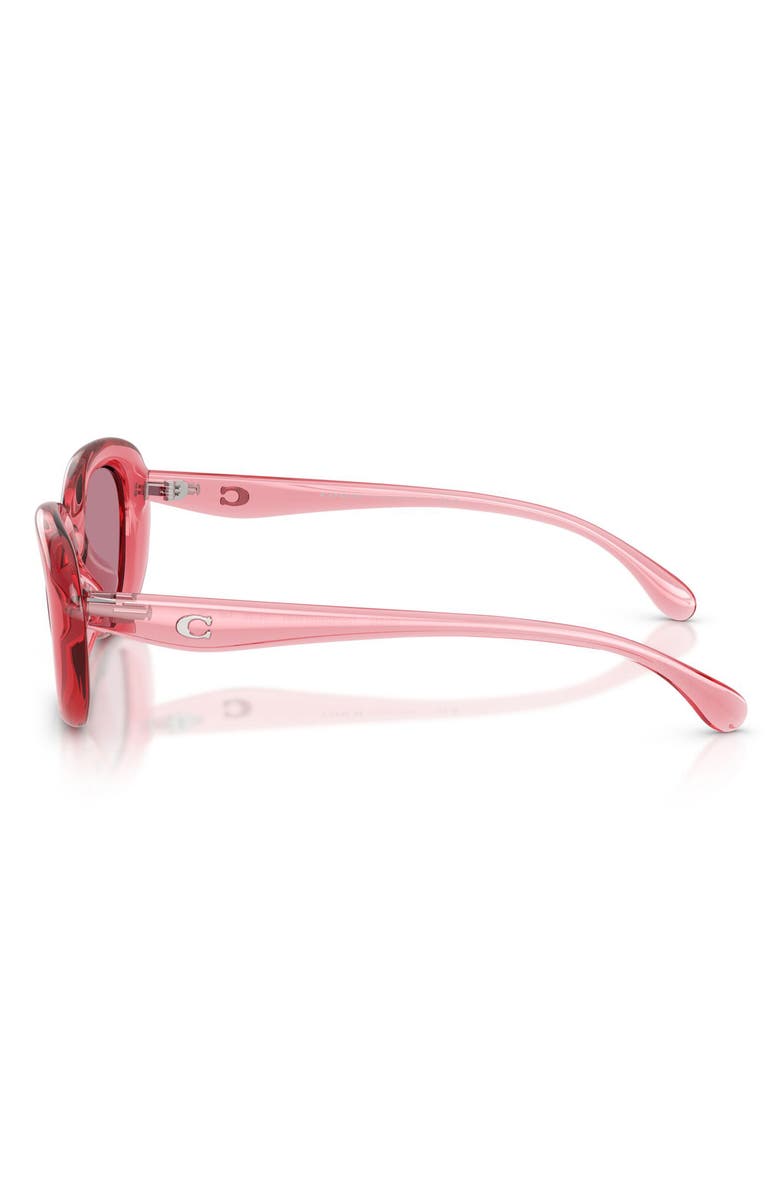 COACH 54mm Polarized Oval Sunglasses, Alternate, color, Transparent Pink / Pink Mirror