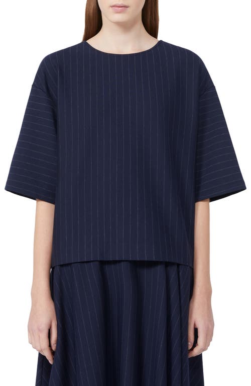 Weekend Max Mara Kara Stripe Knit Top In Blue
