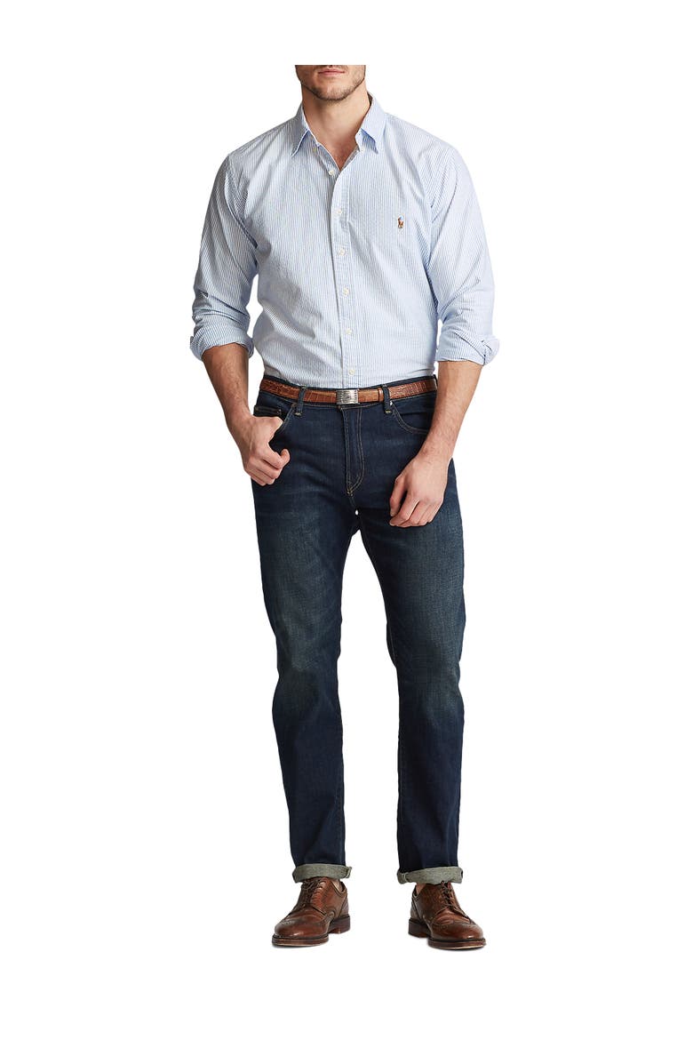 Big & Tall Striped Oxford Sport Shirt, Alternate, color, BLUE WHITE