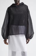 Cecilie Bahnsen Shila Windflower Embroidered Sheer Organza Hoodie