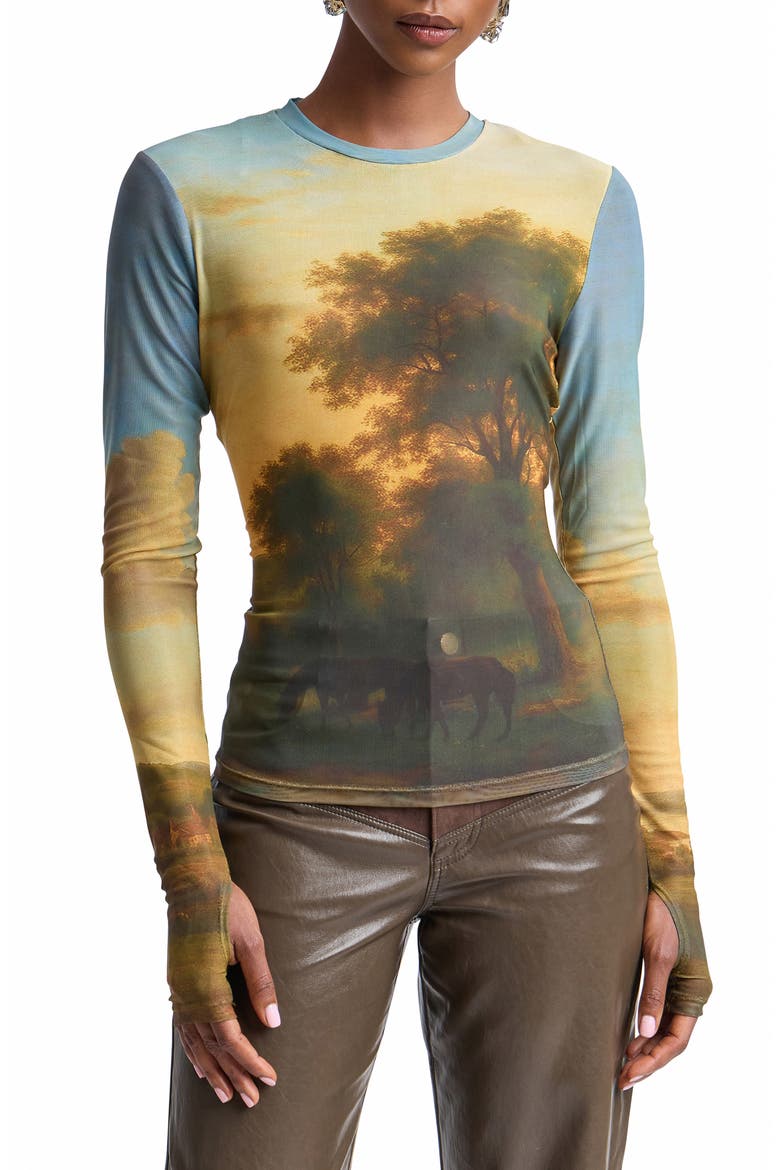 Animal Spot Mesh T-Shirt, Main, color, LANDSCAPE MURAL