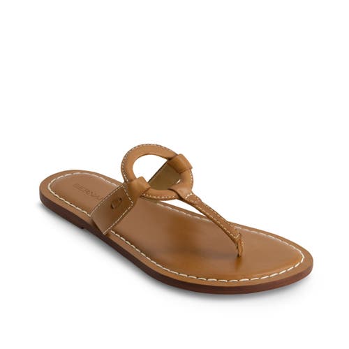 Shop Bernardo Footwear Matrix 2 Thong Sandal In Luggage