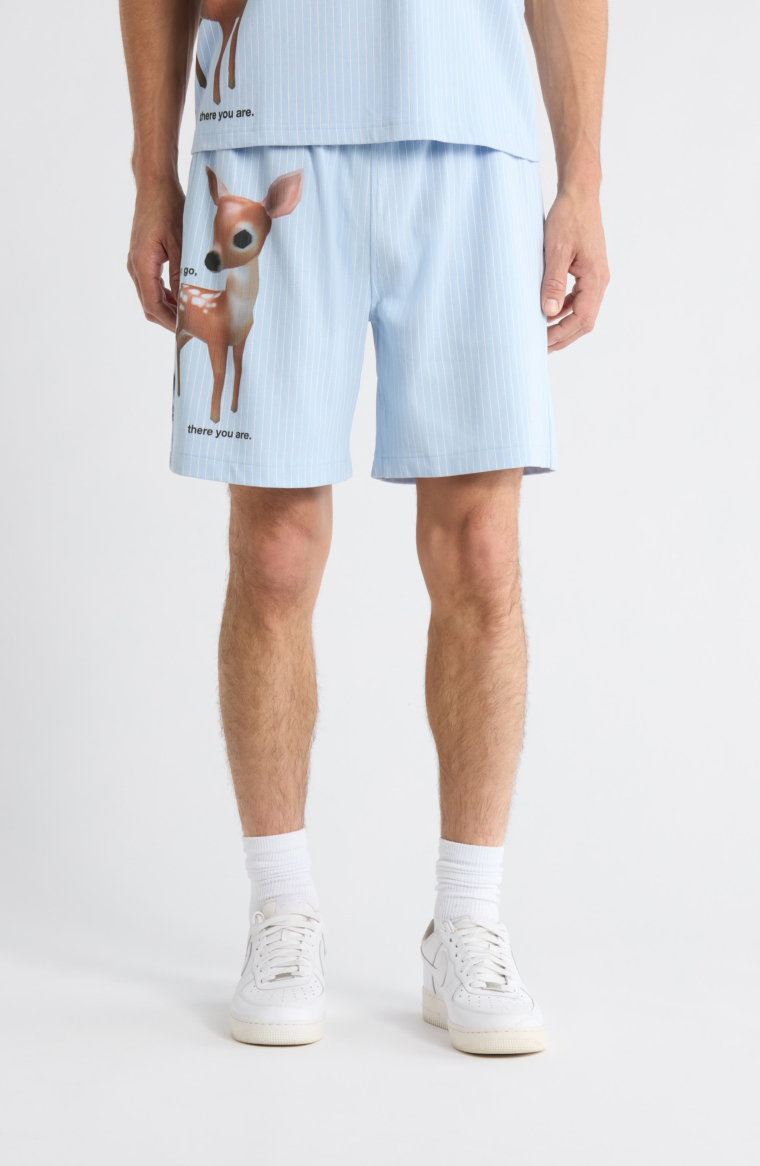 Pet Shorts