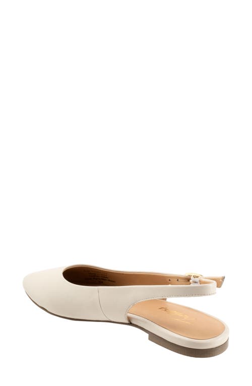 Trotters Evelyn Pointed Toe Slingback Flat In Ivory