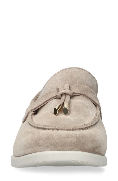 Mephisto Valenza Loafer In Taupe Velours