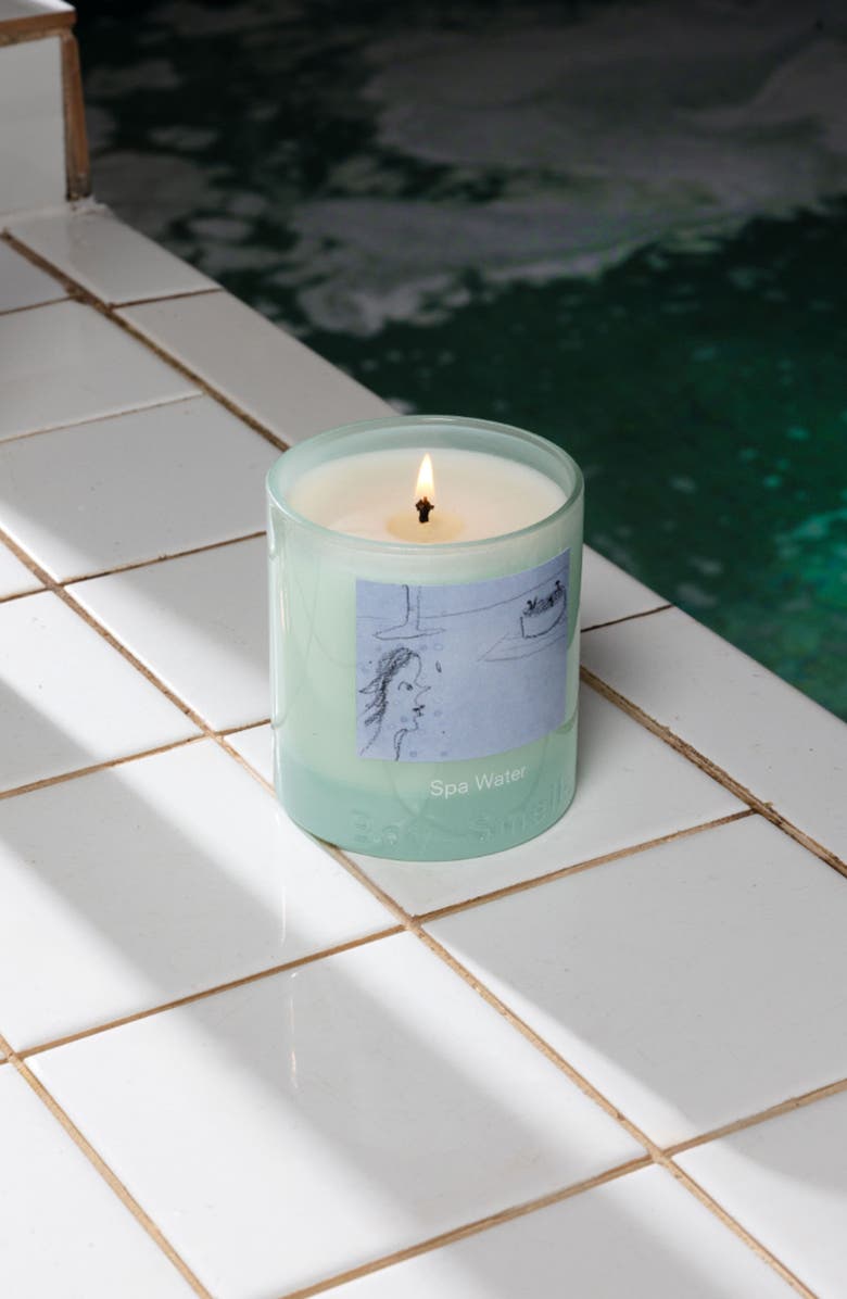 Boy Smells Spa Water Candle, Alternate, color, 