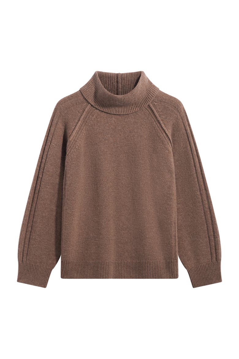Robi Wool Blend Roll Neck Sweater, Alternate, color, Camel