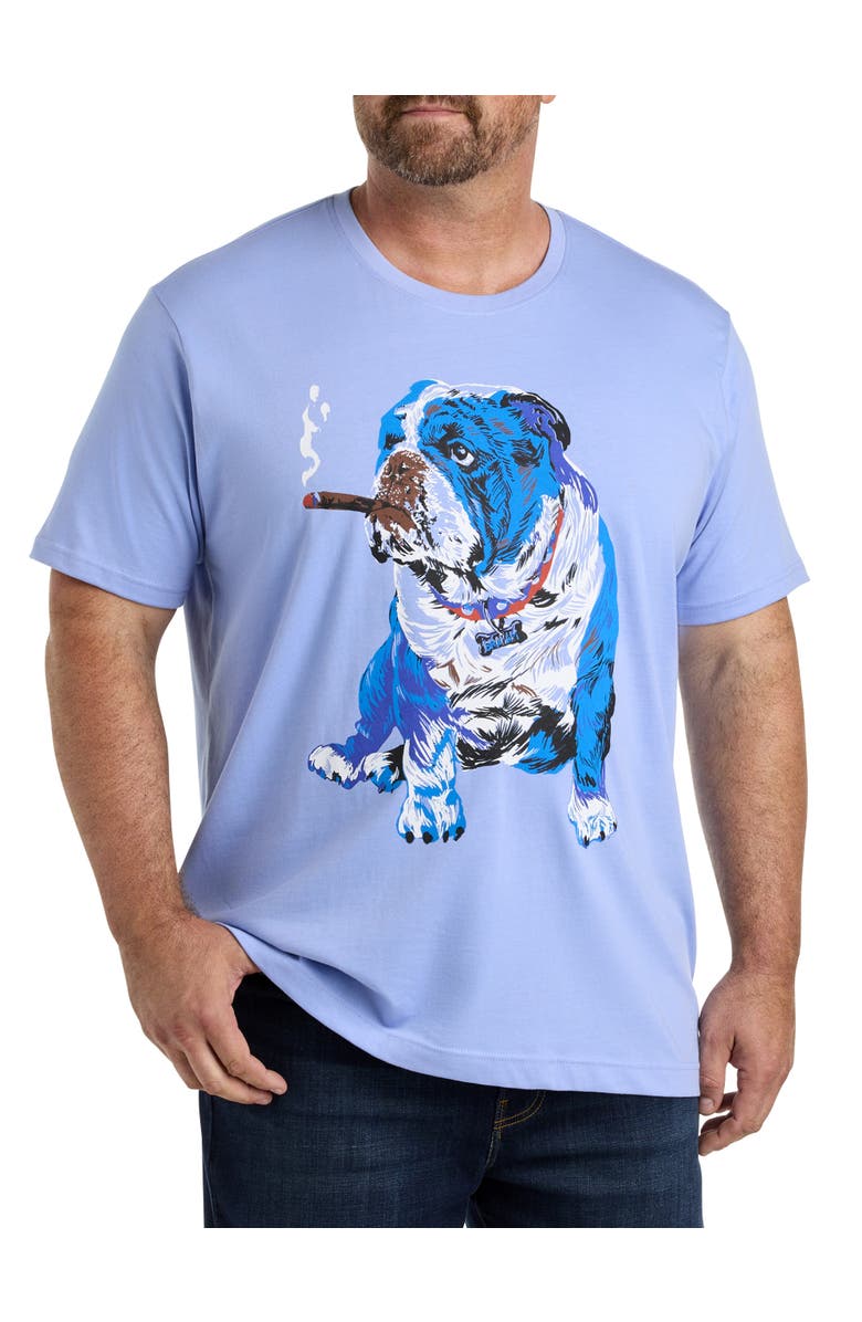 Robert Graham Big & Tall Cigar Graphic Tee, Main, color,