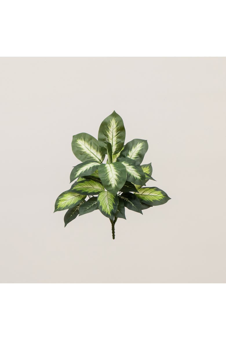 20-in Artificial Golden Dieffenbachia Plant - Set of 6, Alternate, color, Green