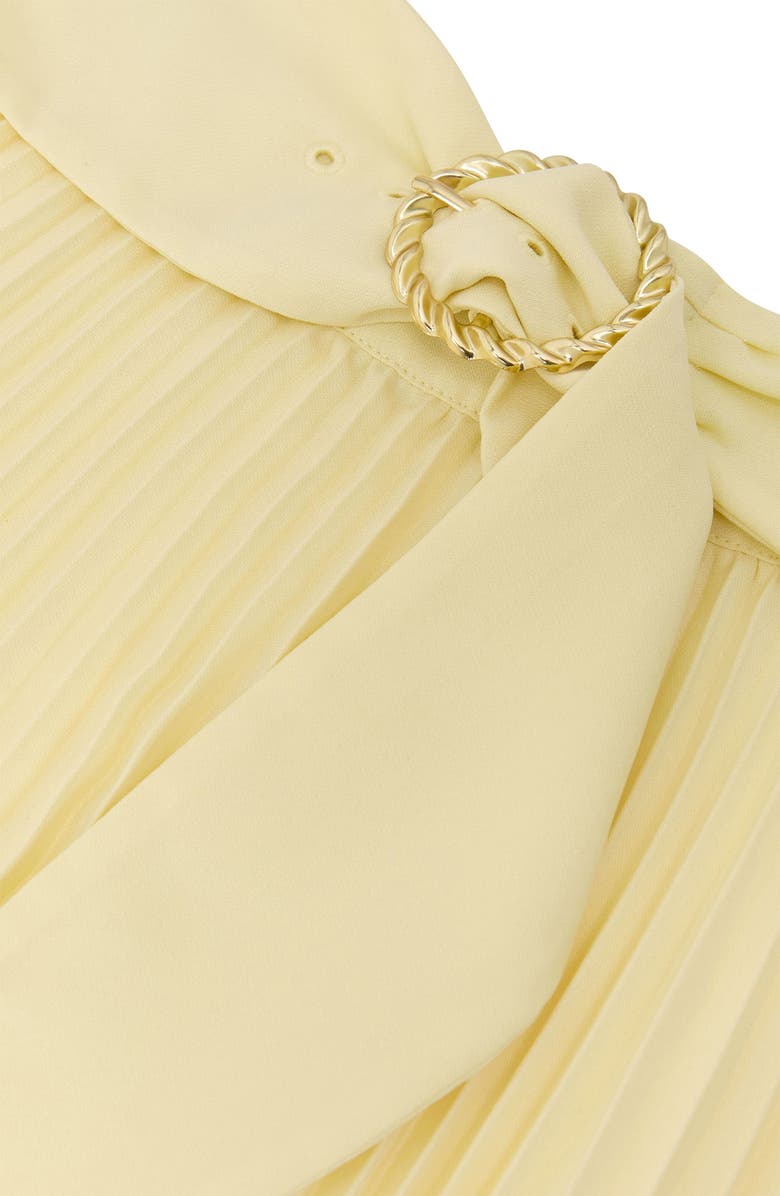 Reiss Amelie Belted Pleated Skirt, Alternate, color, Yellow