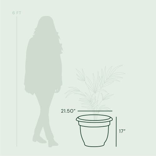 Bloem 20" Ariana Pot Planter, Black In Black