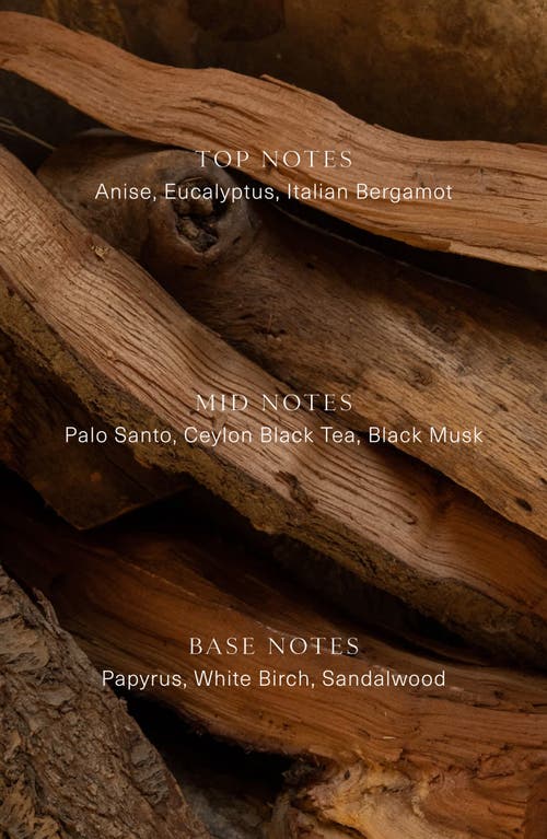 Oak Essentials Santo Wood Eau De Parfum In No Color