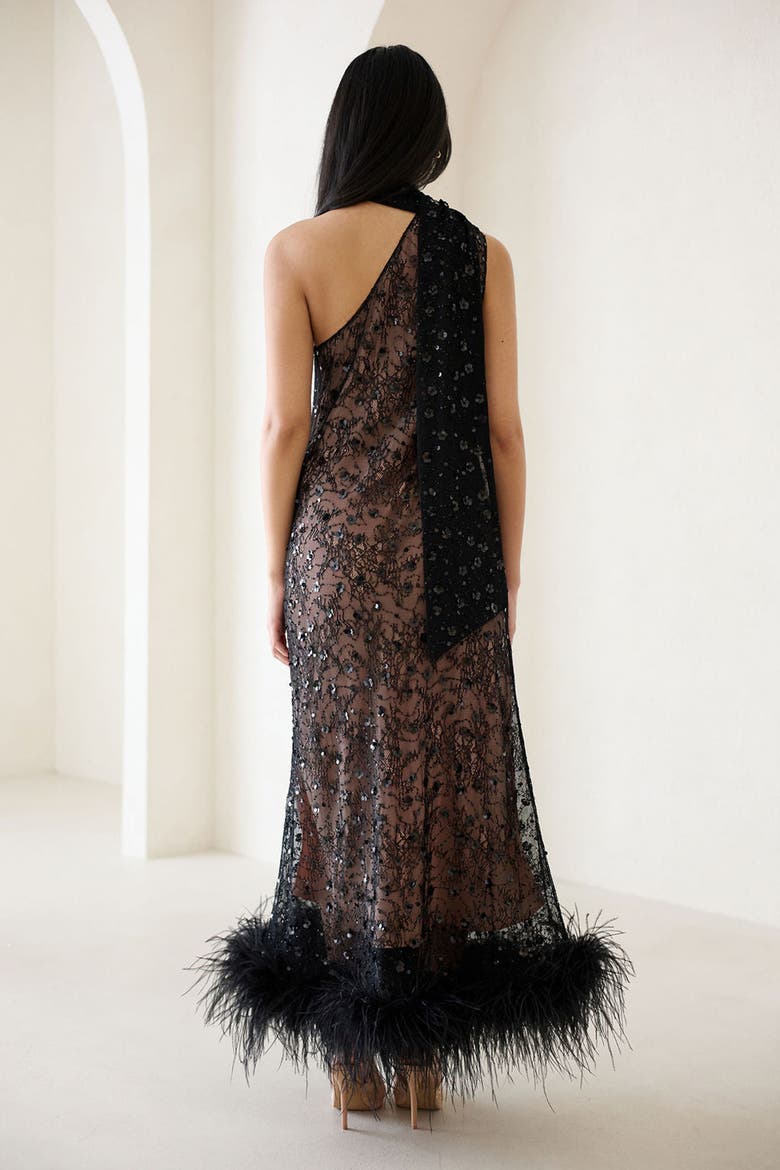 Liya Shadow Lace Feather Dress, Alternate, color, Black Lace
