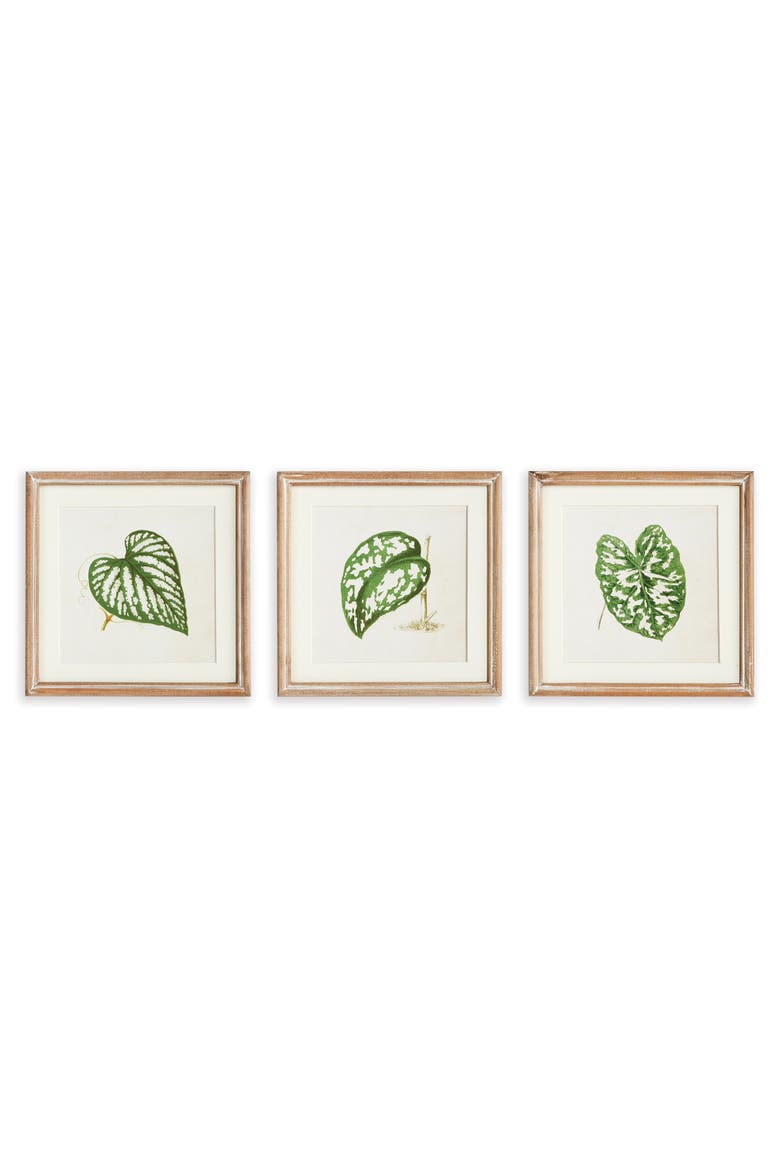 Leaf Cuttings Petite Prints Set of 3, Main, color, Green
