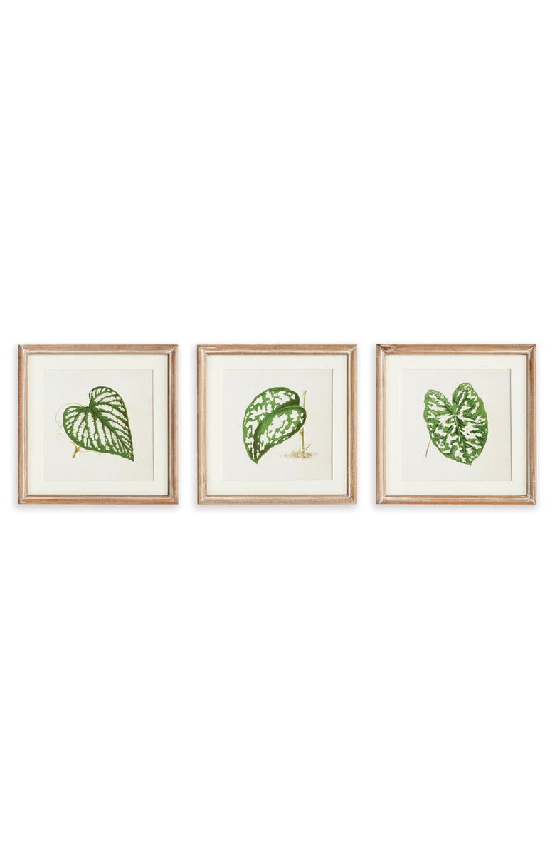 Napa Home & Garden Leaf Cuttings Petite Prints Set of 3, Main, color, Green