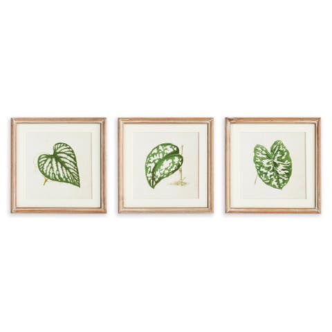 Leaf Cuttings Petite Prints Set of 3