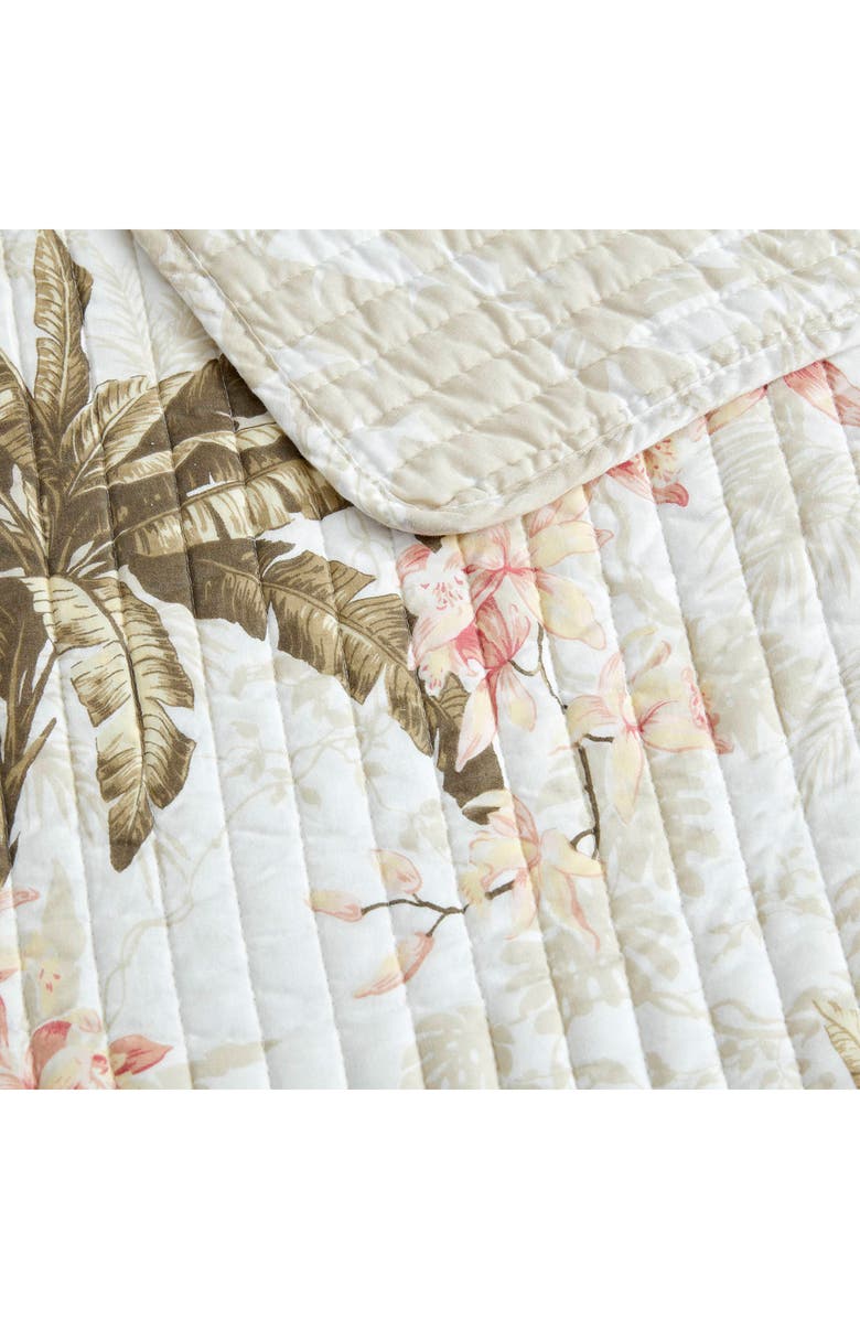 Tommy Bahama Bonny Cove Cotton Quilt & Sham Set, Alternate, color, Coconut