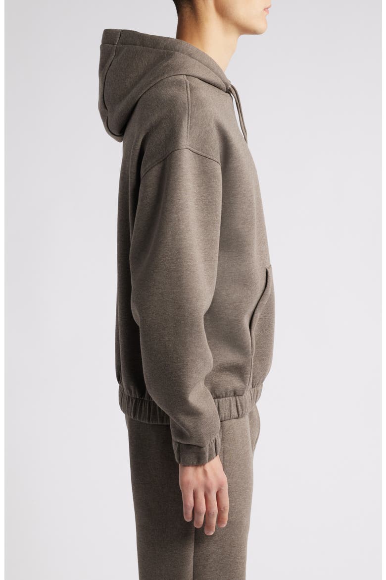 Stevens Pullover Hoodie, Alternate, color, DARK BEIGE