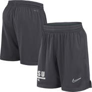 Nike Men's Nike Anthracite Michigan State Spartans 2024 Sideline Performance Mesh Shorts