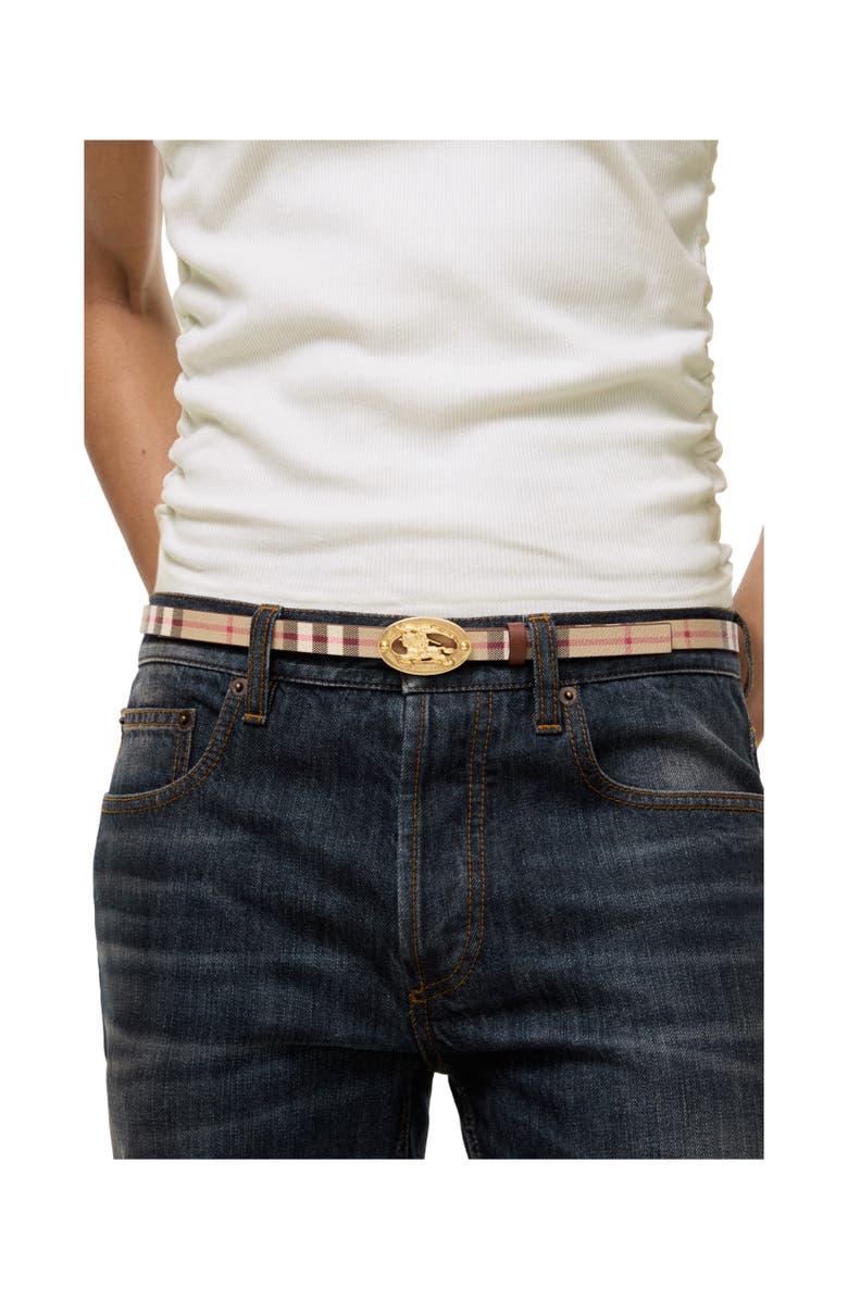 Burberry Thin Reversible Check Oval Belt, Alternate, color, Archive Beige/Tobacco Brown