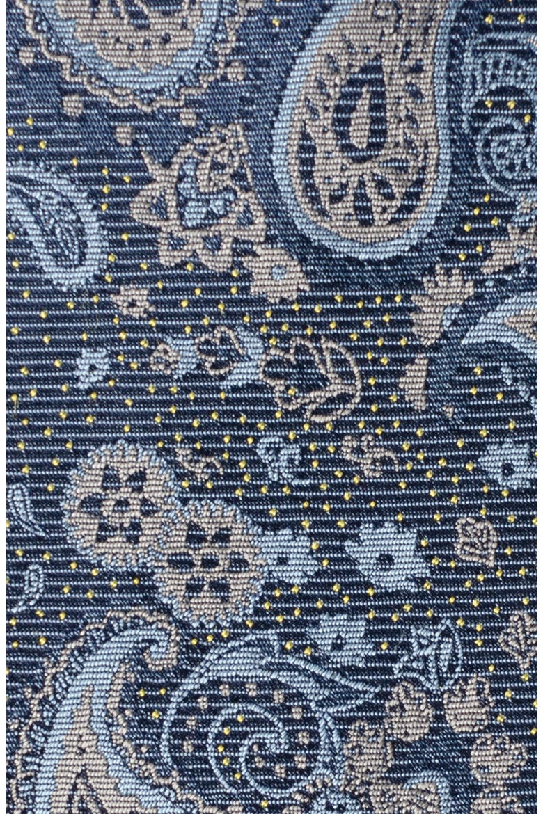 Paisley Silk Tie, Alternate, color, BLUE