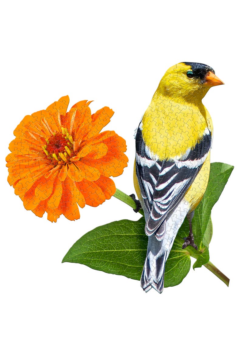 Goldfinch 300 Piece Jigsaw Puzzle, Alternate, color, Multicolored