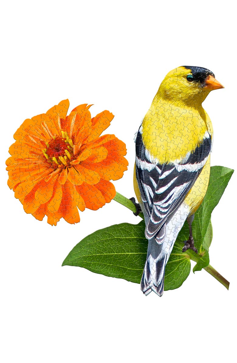 Madd Capp Goldfinch 300 Piece Jigsaw Puzzle, Alternate, color, Multicolored