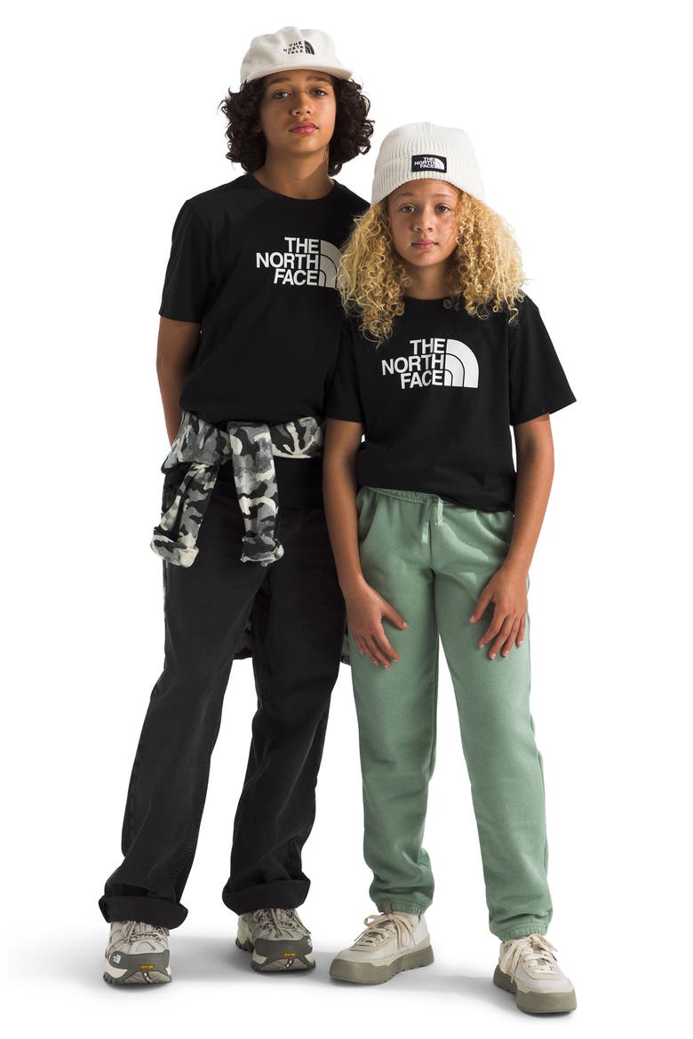 Kids' Teen Evolution Half Dome Graphic T-Shirt, Alternate, color, TNF BLACK