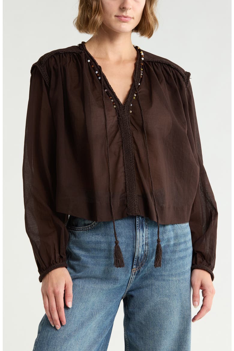 Long Sleeve Embroidered Top, Main, color, GANACHE