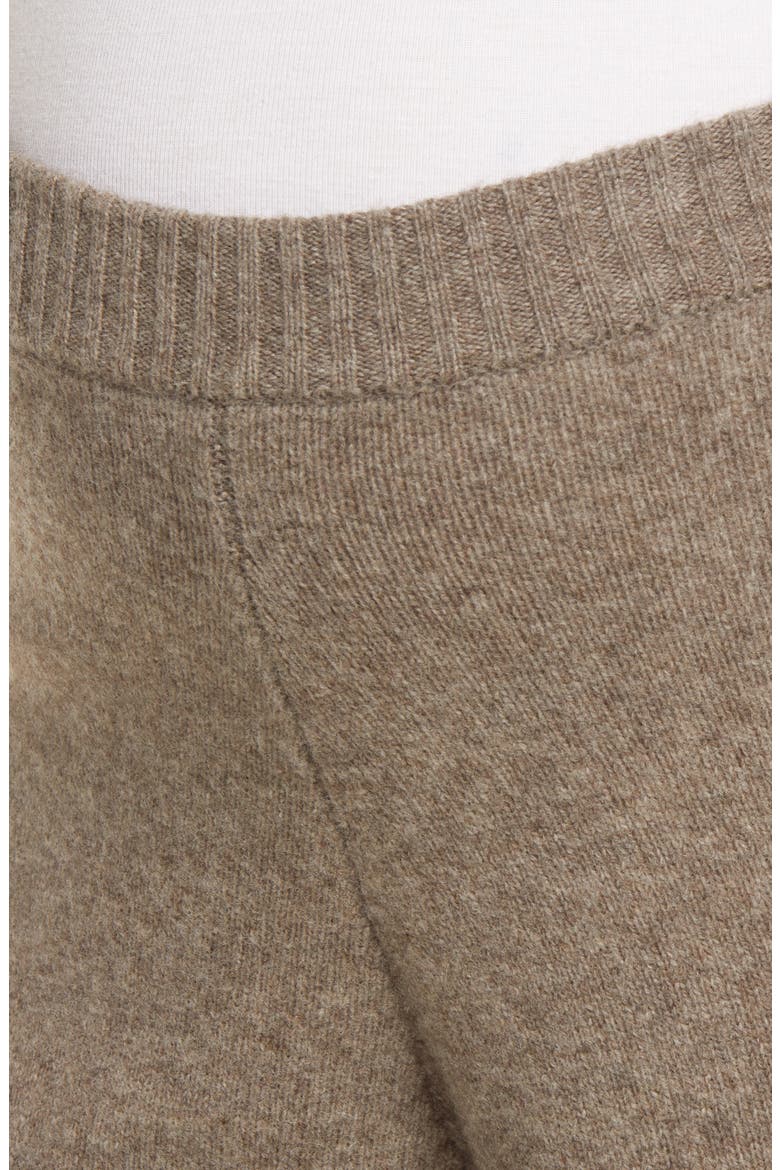 Ines Sweater Pant, Alternate, color, CAMEL
