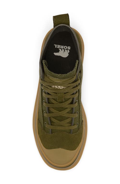 Sorel Scout N About™ Mid Sneaker In Utility Green/gum