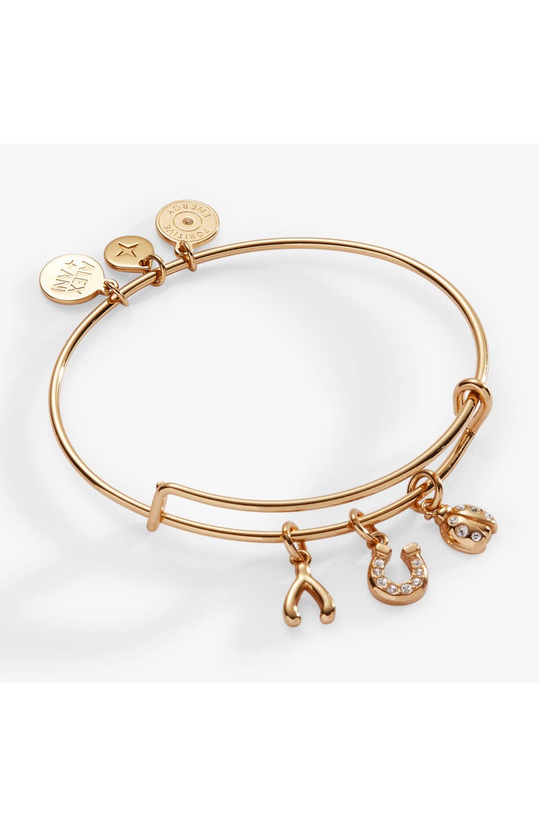 Alex and Ani Love and Luck Multi Charm Bangle Bracelet, Main, color,