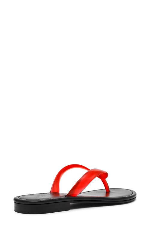 Steve Madden Seasalt Flip Flop In Red