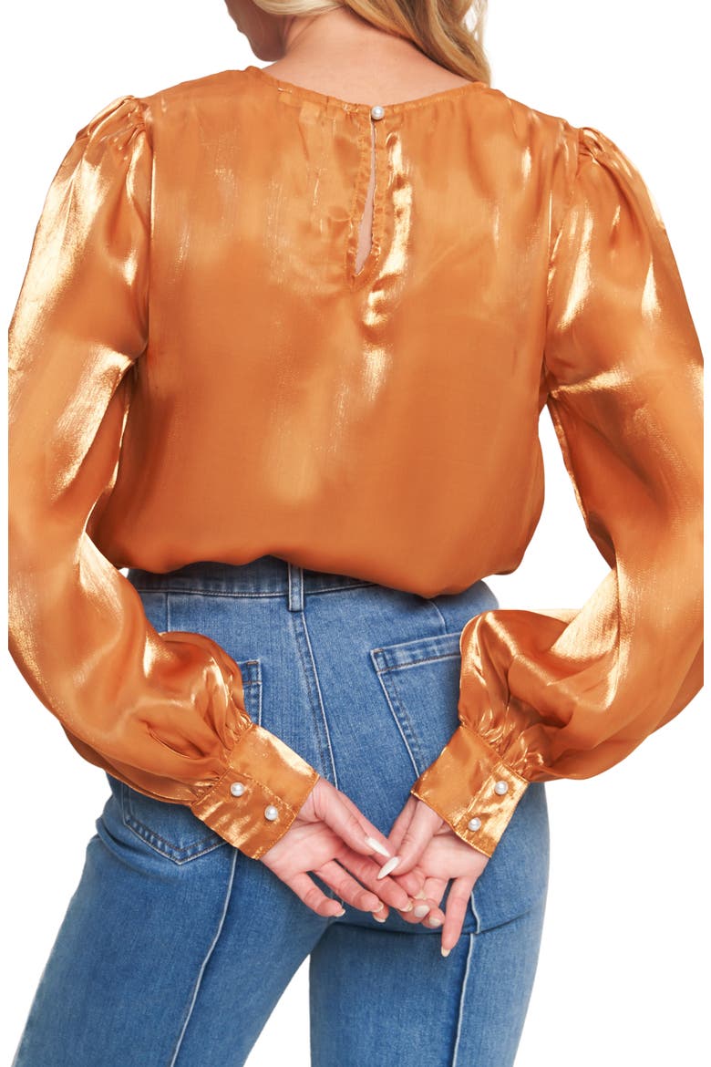 Sheen Long Sleeve Top, Alternate, color, BRONZE