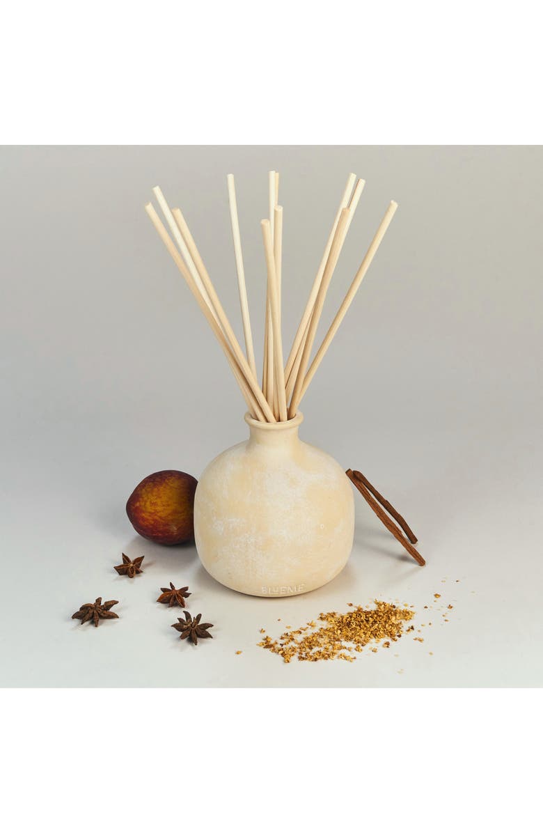 Blueme Calm Large Ceramic Reed Diffuser, Alternate, color,