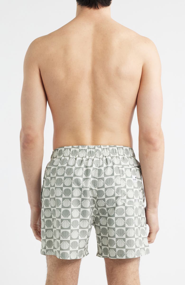 Boardies Seashell Print Swim Trunks, Alternate, color, Olive/ Cream
