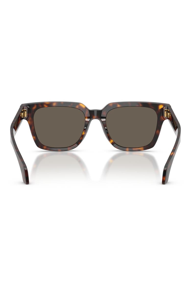 52mm Square Sunglasses, Alternate, color, HAVANA / BROWN