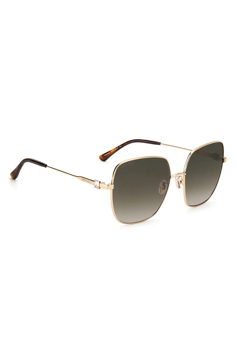 Jimmy Choo 60mm Oversize Rounded Sunglasses, Alternate, color, 