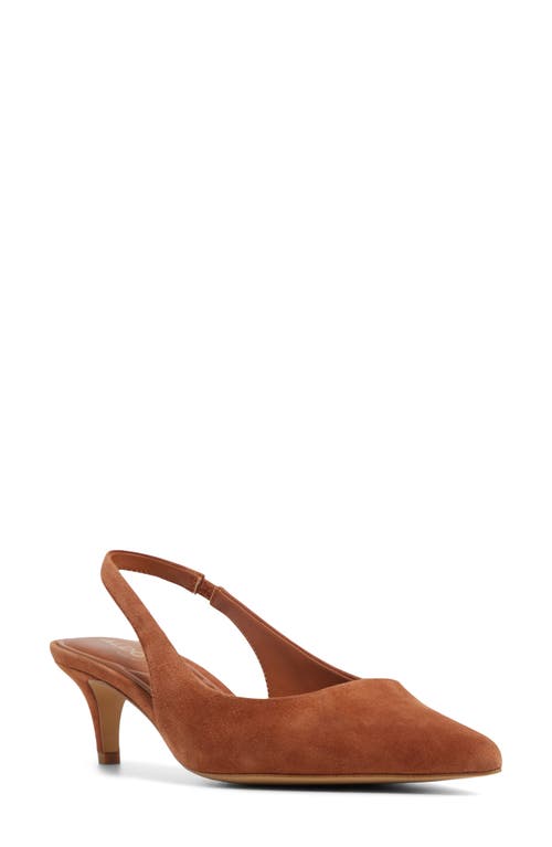 Aldo Leane Pointed Toe Slingback Pump In Multi