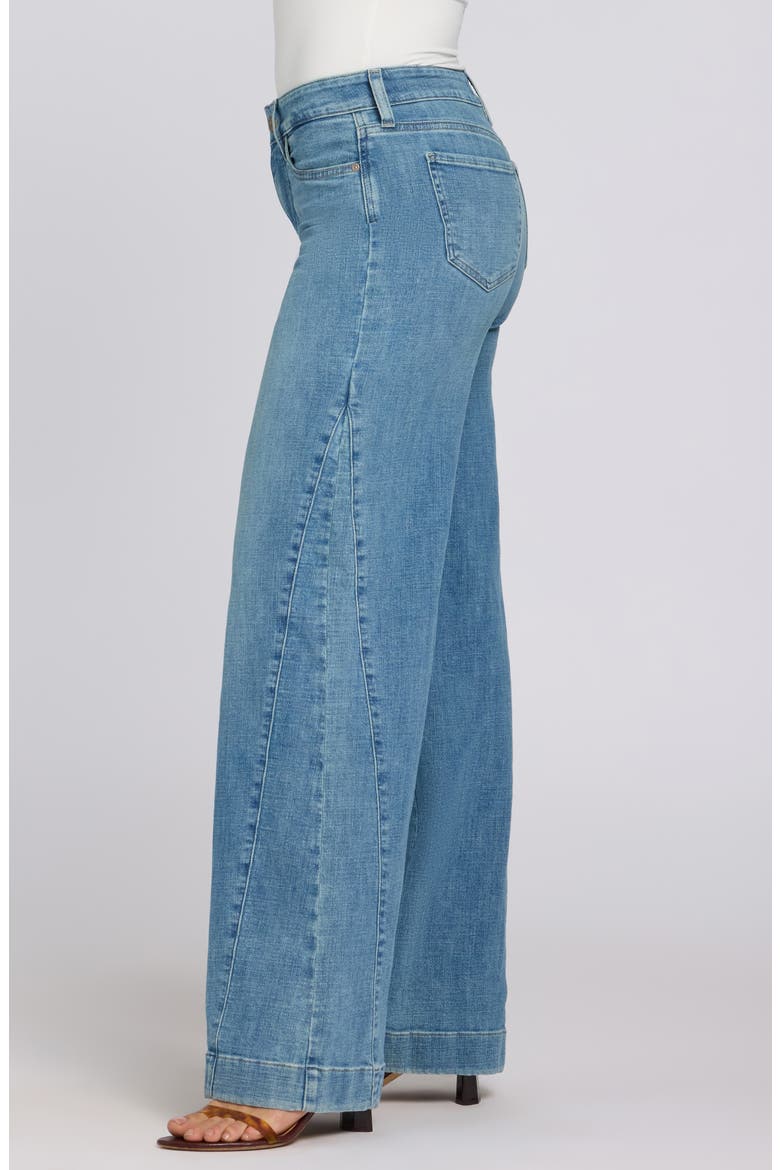 Teresa Godet Wide Leg Jeans, Alternate, color, DAWN ROCK
