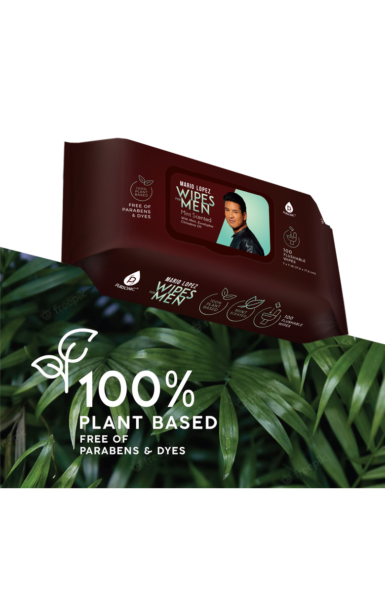 PURSONIC - 12 Pack of Flushable Mario Lopez Man Wipes, Alternate, color, Brown