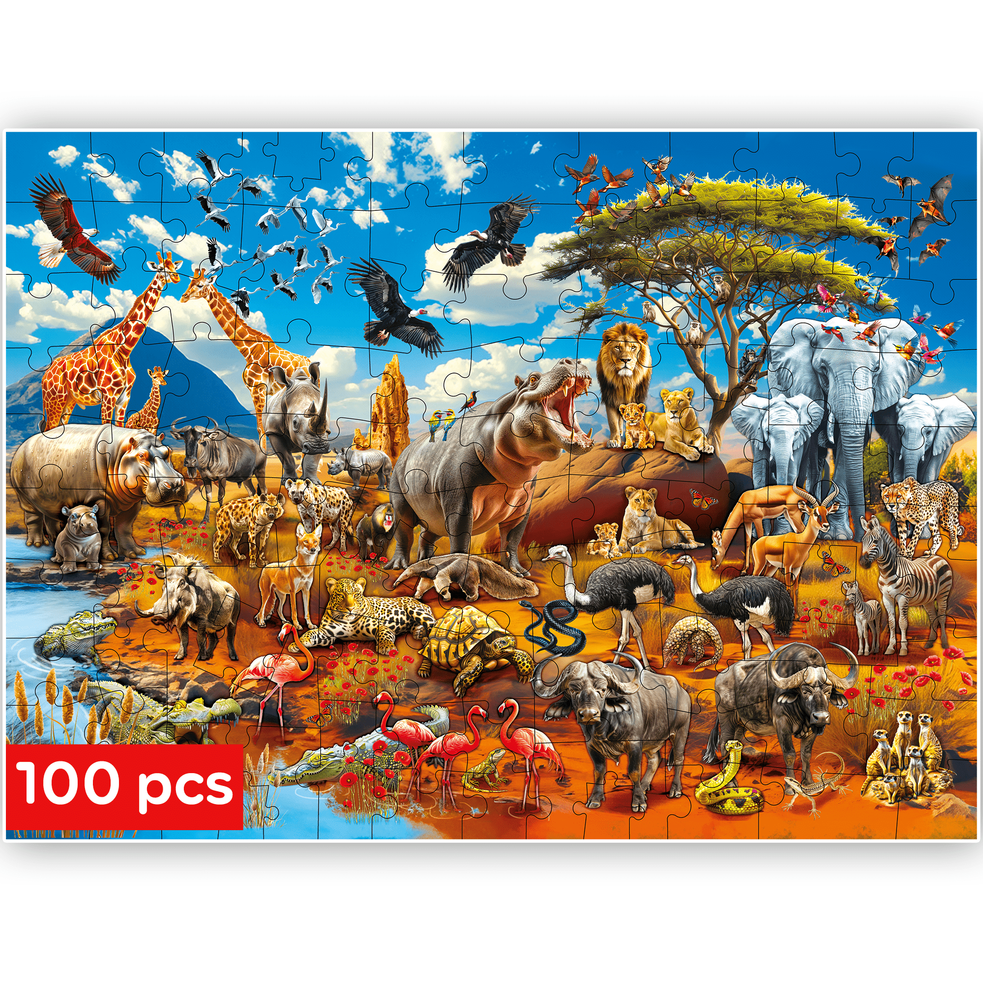 Africa