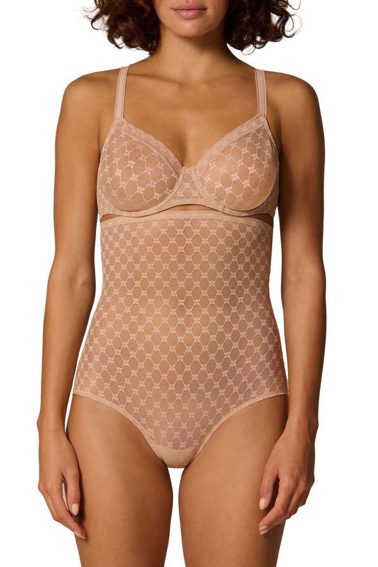 Plume Embroidered High Waist Shaping Briefs, Main, color, PEAU ROSE