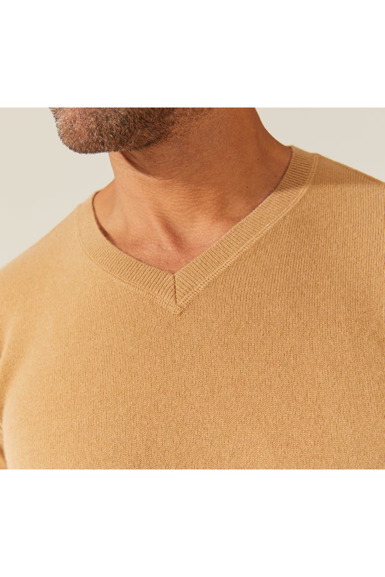 Liam Cashmere V-Neck Sweater, Alternate, color, Camel