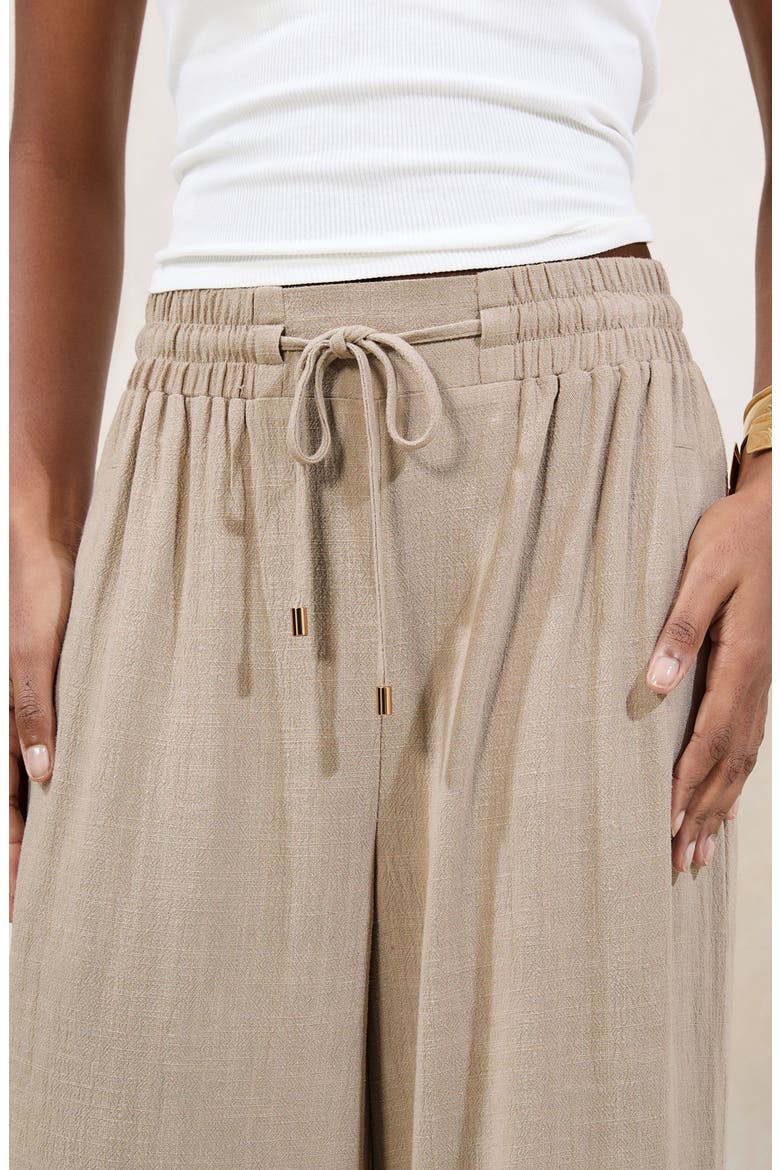 Stone Wide Leg Pants, Alternate, color, NEUTRAL